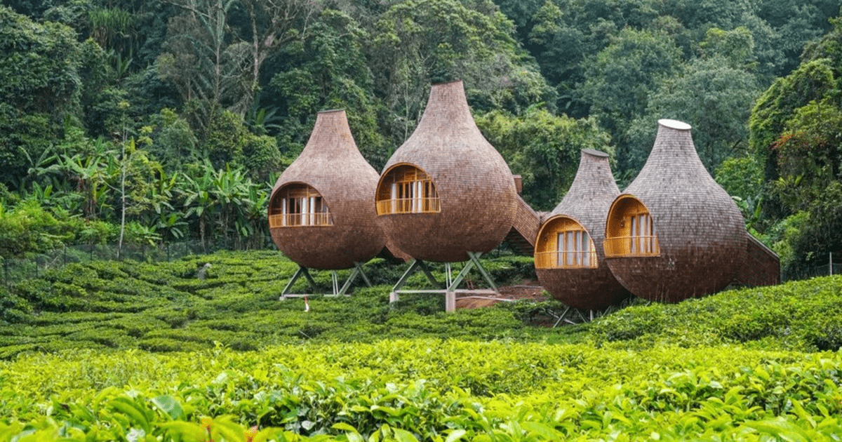 Wisata Alam Bogor: 5 Destinasi Healing yang Menyegarkan