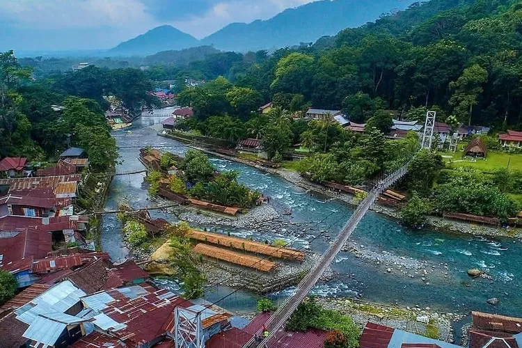 Wisata Bukit Lawang