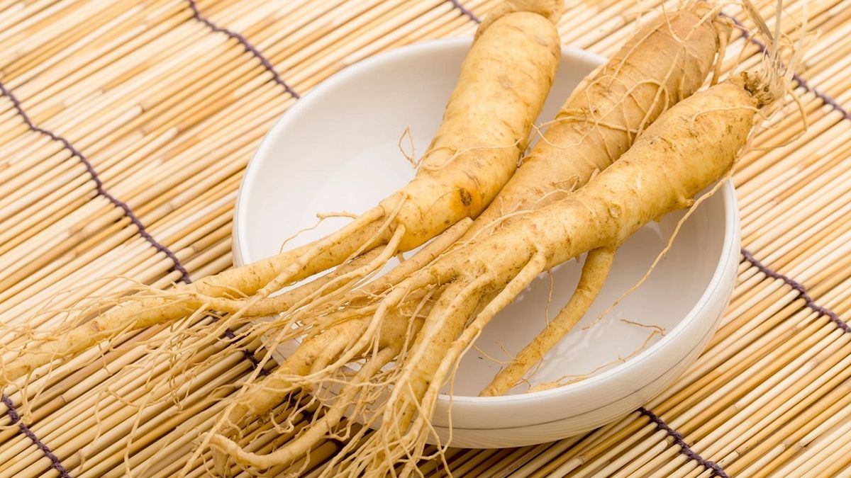 Akar Ginseng: Rahasia Energi dari Asia