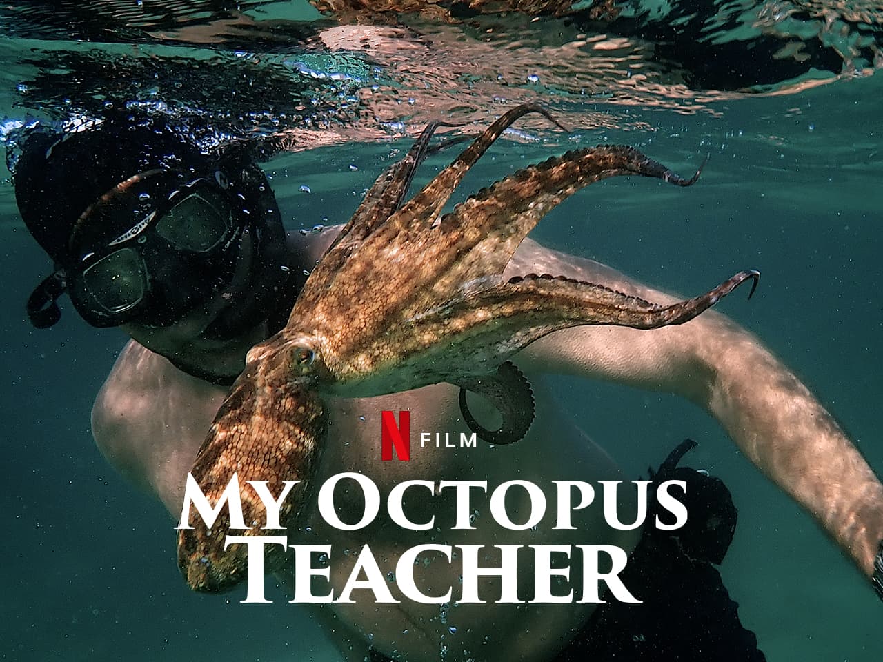 Film Dokumenter Terbaik untuk Ditonton Tahun Ini