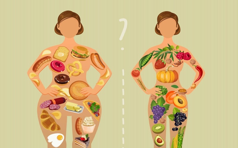 Bagaimana Nutrisi Membantu Metabolisme Tubuh