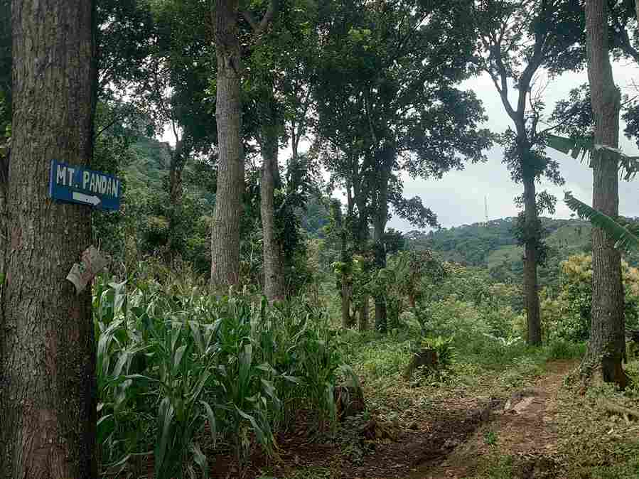 Menjelajahi Gunung Pandan: Pesona Tersembunyi Bojonegoro