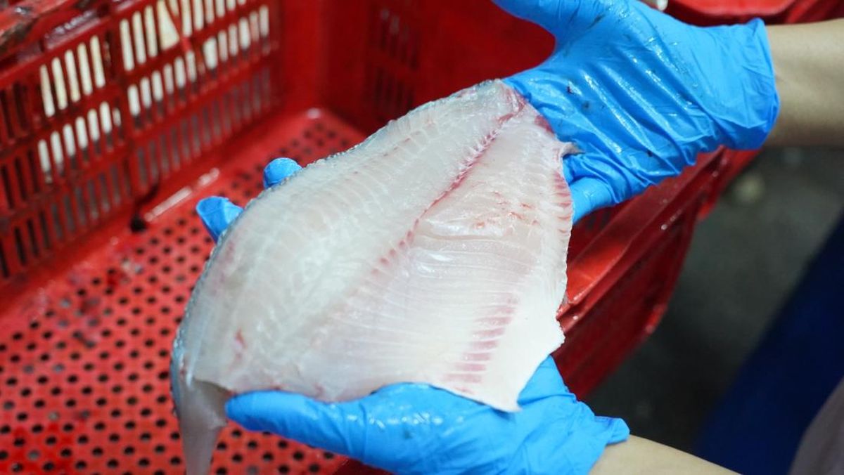 Tilapia Indonesia Menarik Perhatian Dunia