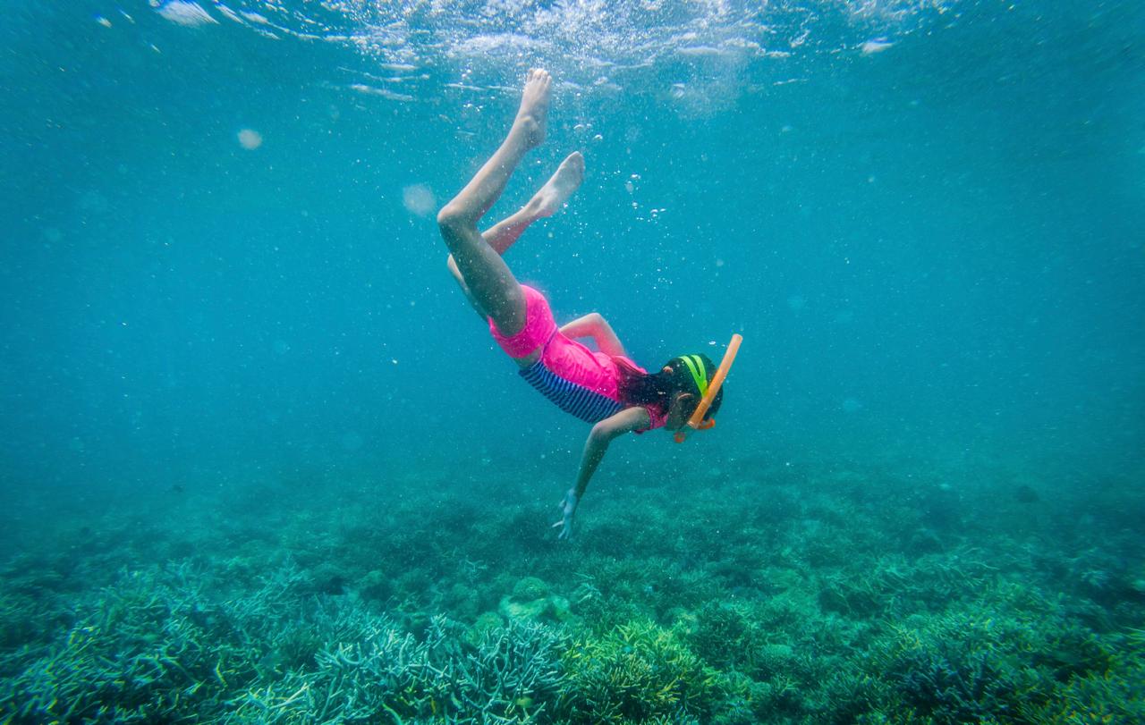 Wisata Edukatif: Eksplorasi Bali dan Labuan Bajo